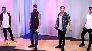 Tap Dogs | Morning Blend