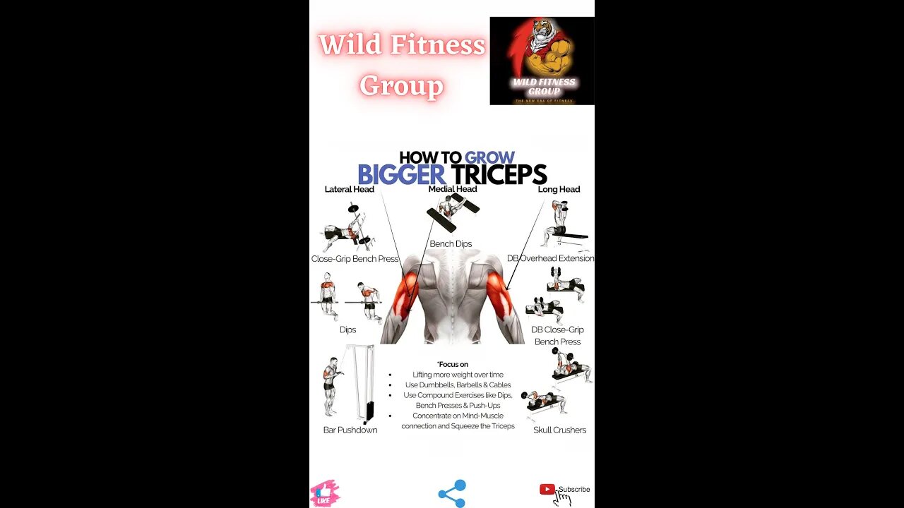 🔥How to grow bigger triceps🔥#fitness🔥#wildfitnessgroup🔥#shorts🔥