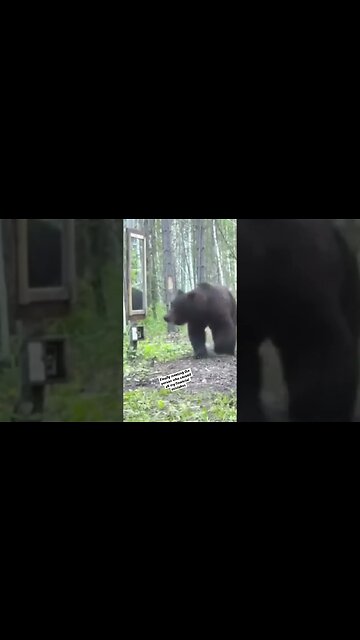 20% car note and credit cards baby!