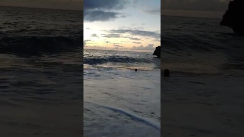 swimming the rough waves