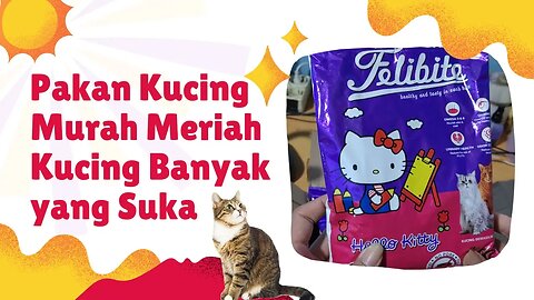 Review Pakan Kucing Murah Meriah Berkualitas Felibite Rasa Ikan Tuna