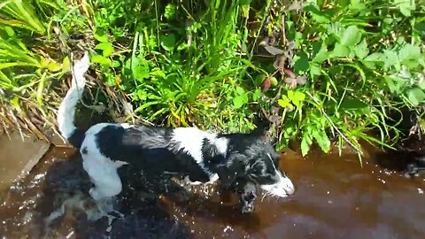 1st Little Swim