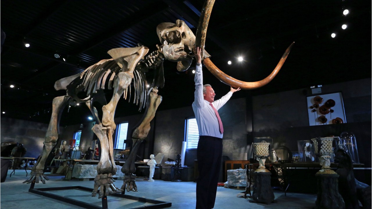 Should Scientists Resurrect The Woolly Mammoth?