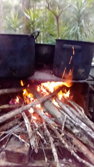 Elements in Harmony ASMR Mini Meditation.