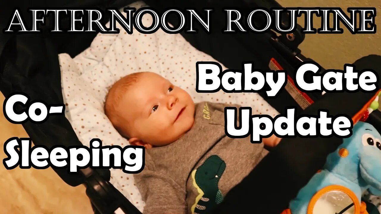 Family/Afternoon Routine/Co-Sleeping/Baby Gate Update