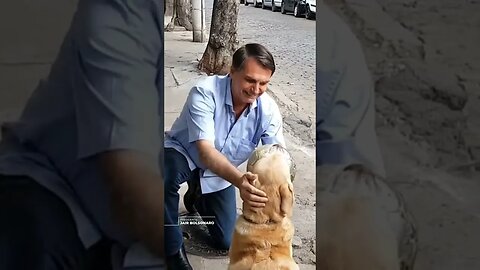 Amante dos animais e da nossa nação #bolsonaro2022 #shorts #animals