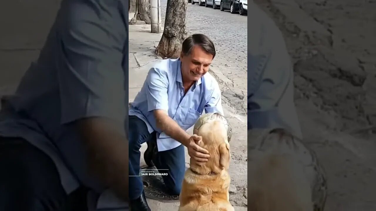 Amante dos animais e da nossa nação #bolsonaro2022 #shorts #animals