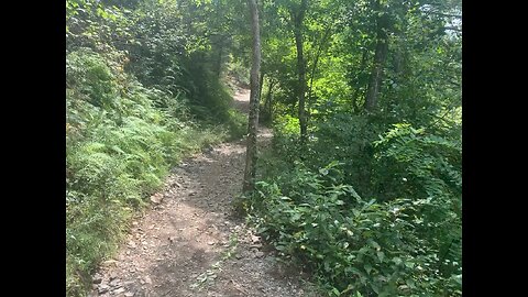 Chasing a butterfly in the Smokey mountains.,