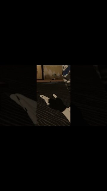 No Detention, Only Getting Whipped As Arabs