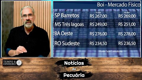 Boi gordo chega ao fundo do poço e a conta do pecuarista não fecha