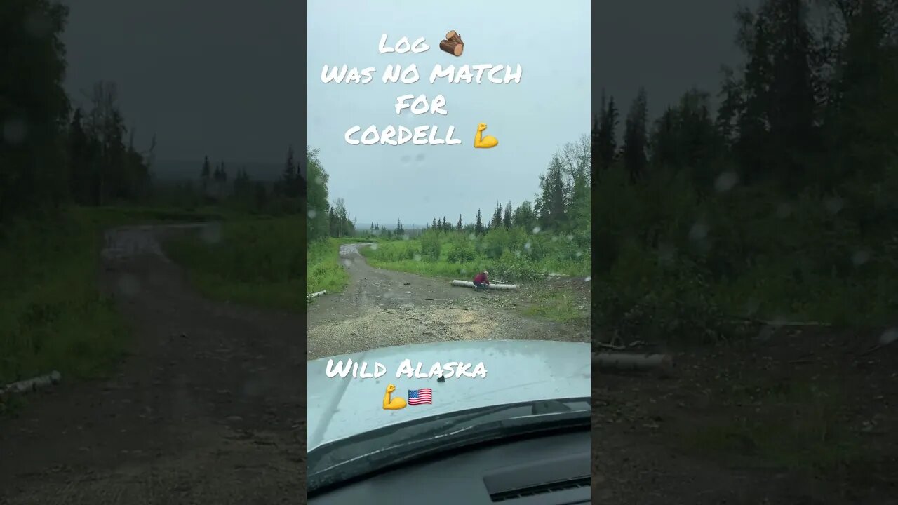 JUMPS into ACTION #alaska #shorts #nature