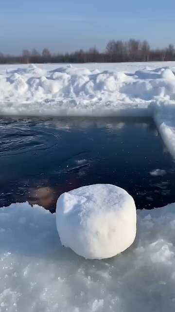 🧀🧀🧀#icequeen #shorts #galkina_anechka