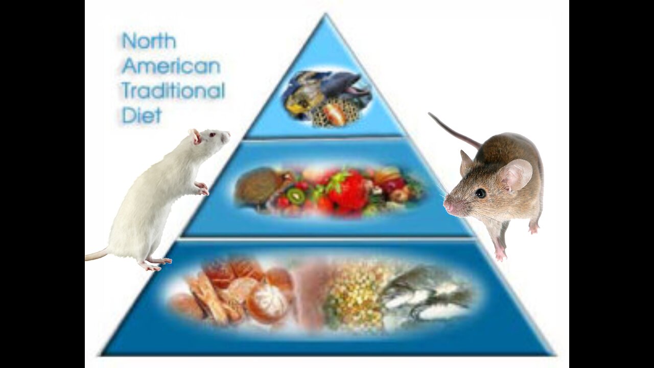 Mice and the North American Diet