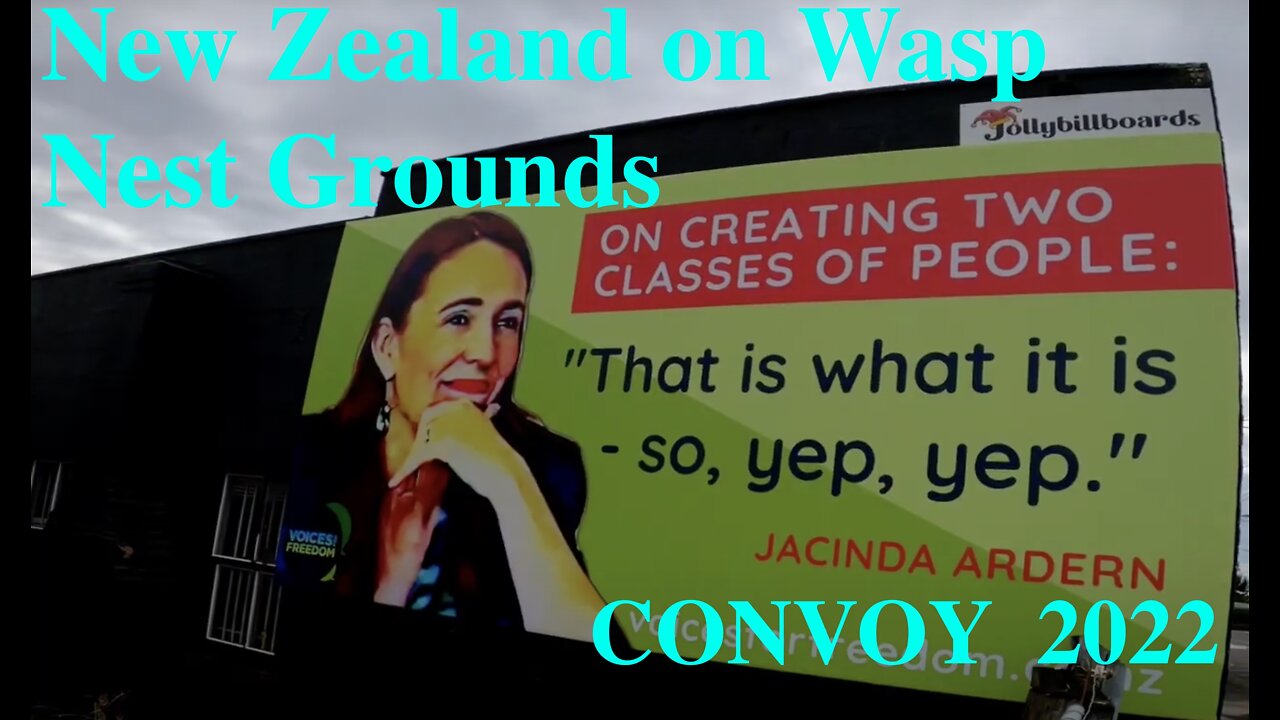 New Zealand CONVOY 2022. Smiley Jabcinda in Wasp Nest vs Team of 5 Million