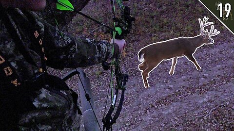 BIG Bucks at 7 Yards! (Bow Hunting the Rut)