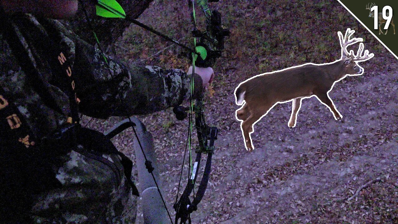 BIG Bucks at 7 Yards! (Bow Hunting the Rut)