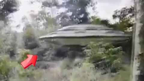 Reptalians leaving the forest on a UFO [Space]