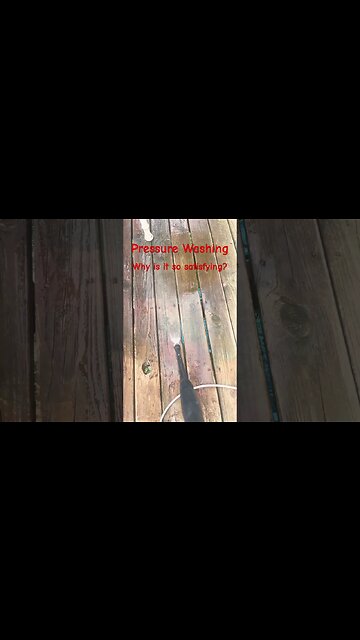 #PressureWashing the deck for the #Labrador and #Hound. #Shorts #ShortsVideo