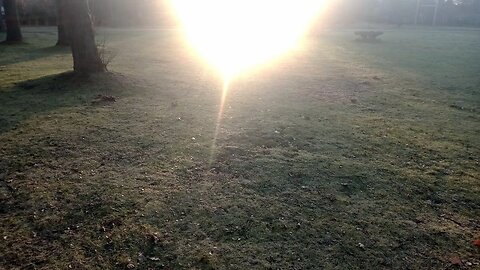 STELLVERTRETEND REUE ERWECKEN FÜR ALLE STERBENDEN