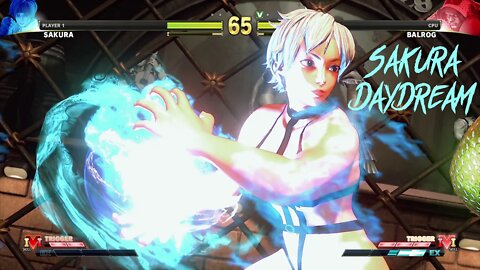 Street Fighter V Sakura Daydream Outfit