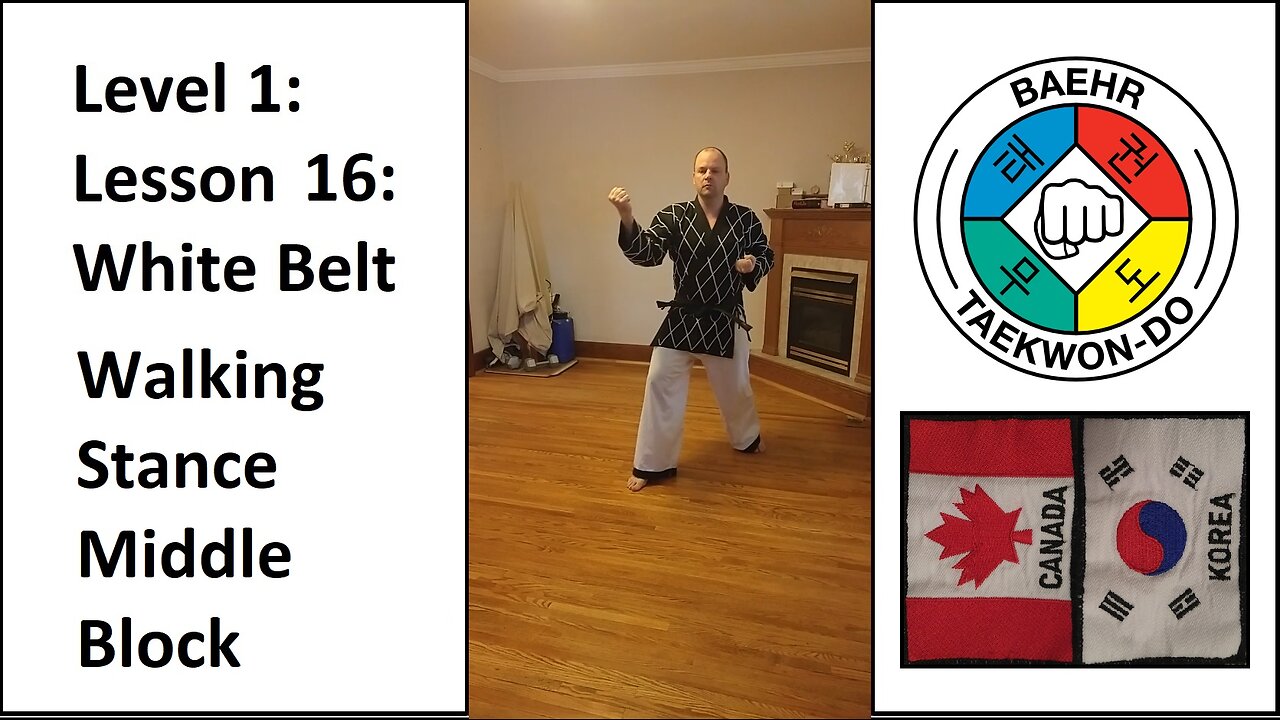 Baehr Taekwondo: 01-16: White Belt: Walking Stance - Middle Block