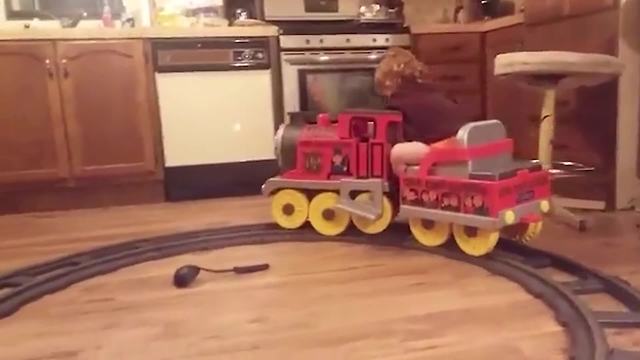 Toddler Boy Falls Asleep On A Toy Train