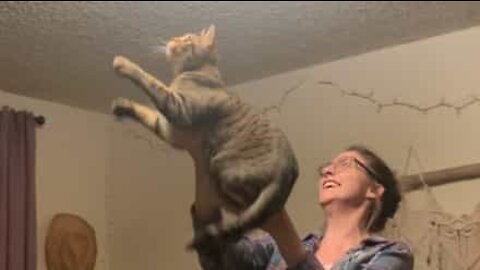 Owner helps her cat catch a moth