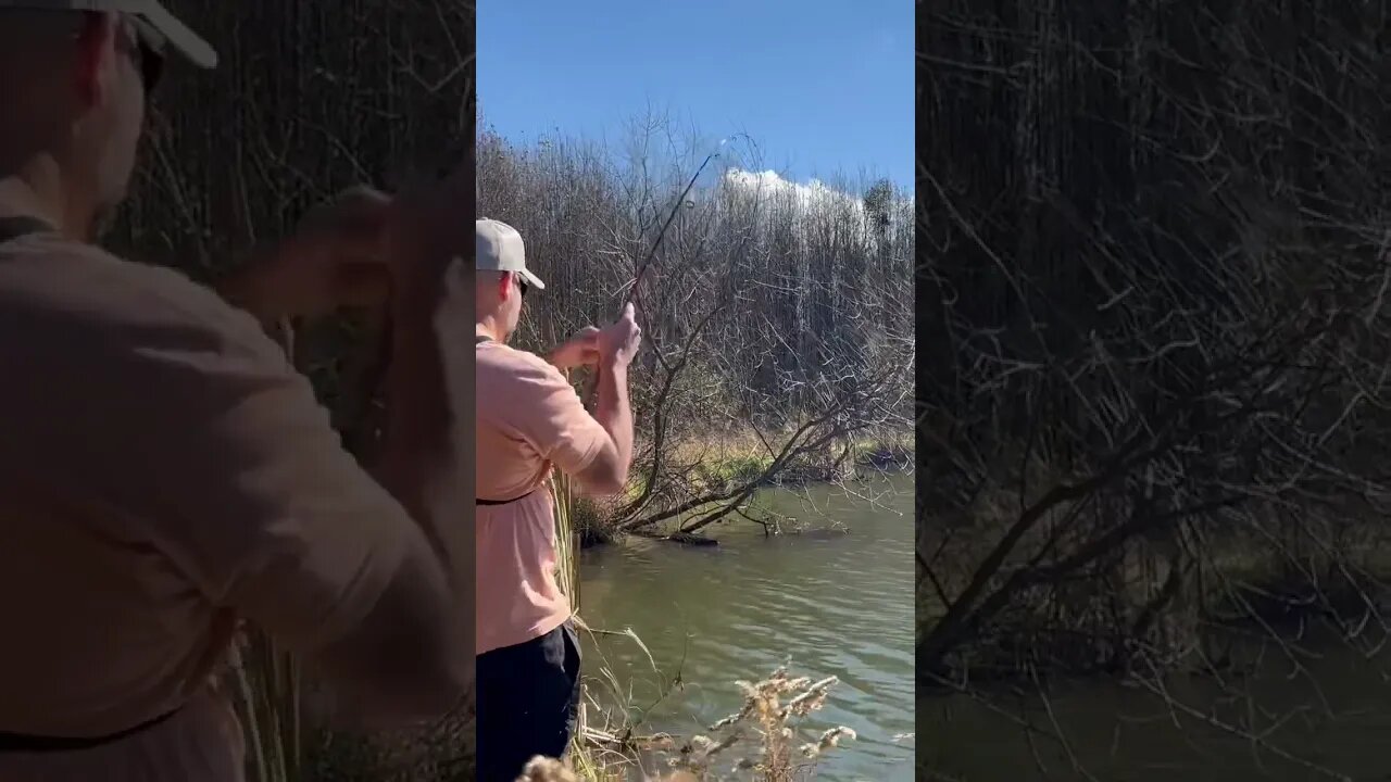 Call your shot!! Crappie fishing.