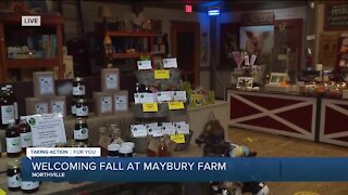 Welcoming Fall at Maybury Farm