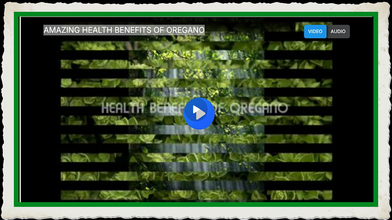AMAZING HEALTH BENEFITS OF OREGANO