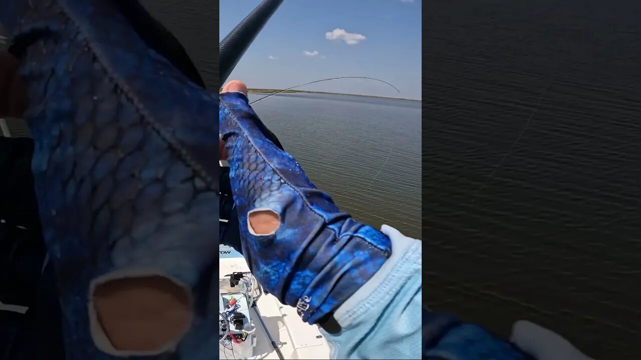 When You Think You're Hung, but It's a Bull Redfish! #shorts #fishing #redfish #orvisflyfishing