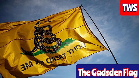 The Gadsden Flag Controversy