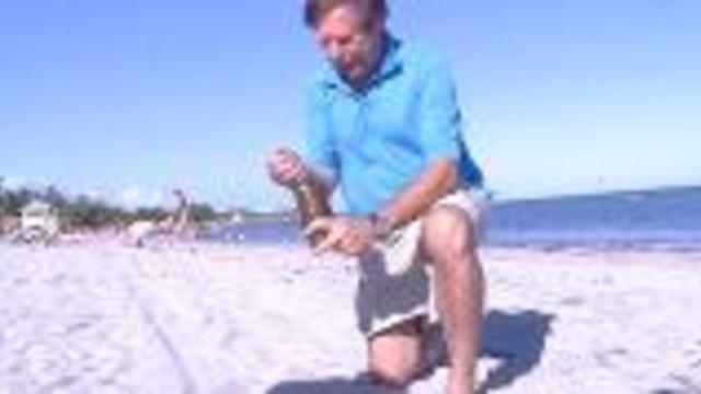 Dr. Beach Rates the Best Beaches in the US