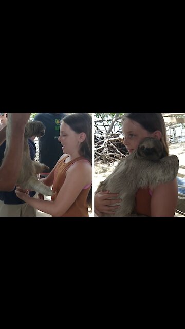 Girl Finally Gets To Hug Her All-time Favorite Animal