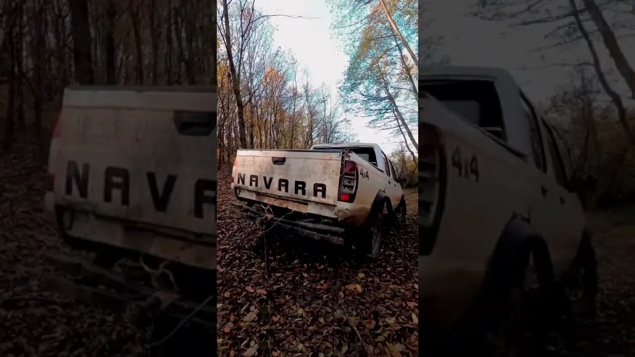 Nissan Navara in the Woods #shorts