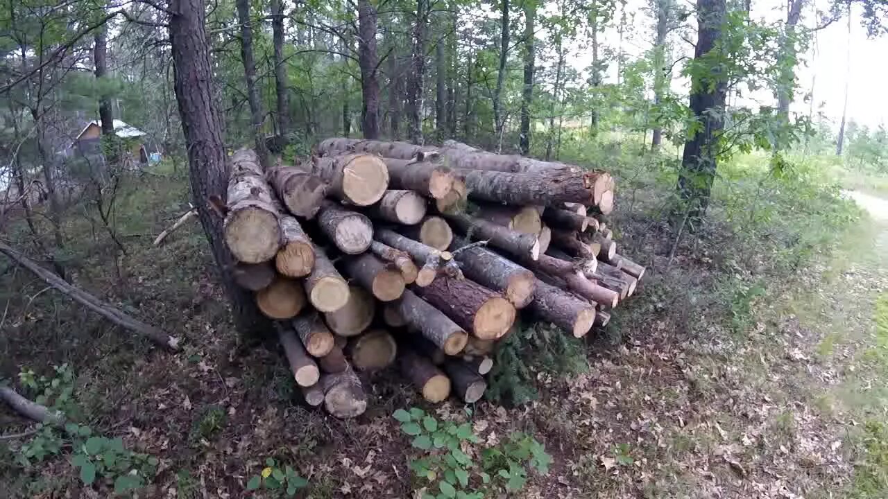 Hauling Logs For Fire Wood ~ Melanie Canning Garden Harvest