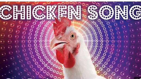 Chicken 🐔 song 🐔