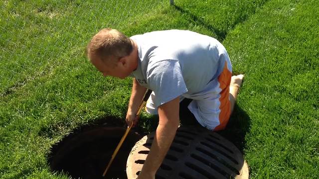 The Man Who Rescued Ducklings From A Sewer Is A Real-Life Hero