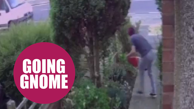 Crook trying to escape with 2ft garden gnome before falling head first through a fence