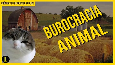 O Fazendão: a BURROCRACIA ESTATAL no mundo animal - parte 2