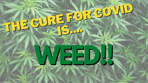 The Cure For Covid is.... WEED!!!