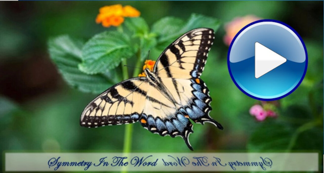 Symmetry In The Word