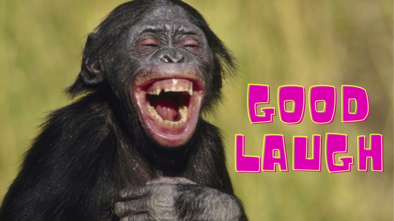 Good laugh hahaha