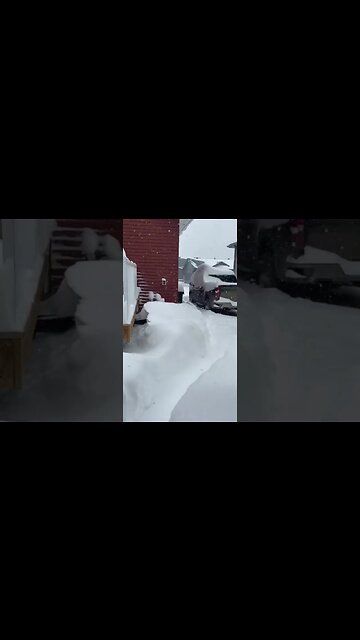 Macallan Ruby. Best Paired With Snowy… Spring Days?