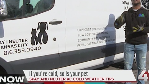 KC organization saves pets ahead of cold weather