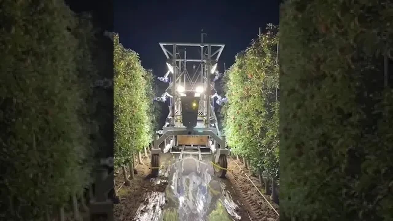 Robotics Of The Future!