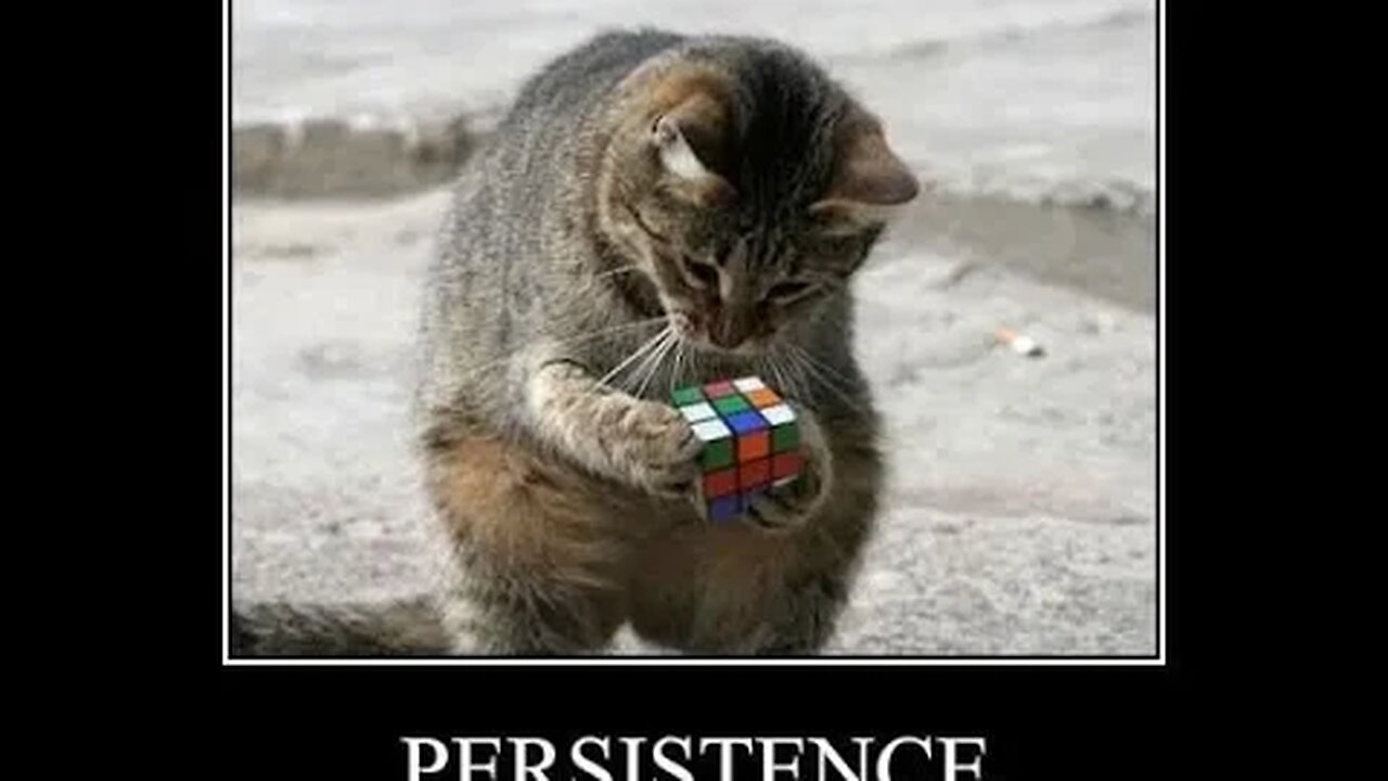 Manhood Explained #219: persistence - so much more than just a power of will!