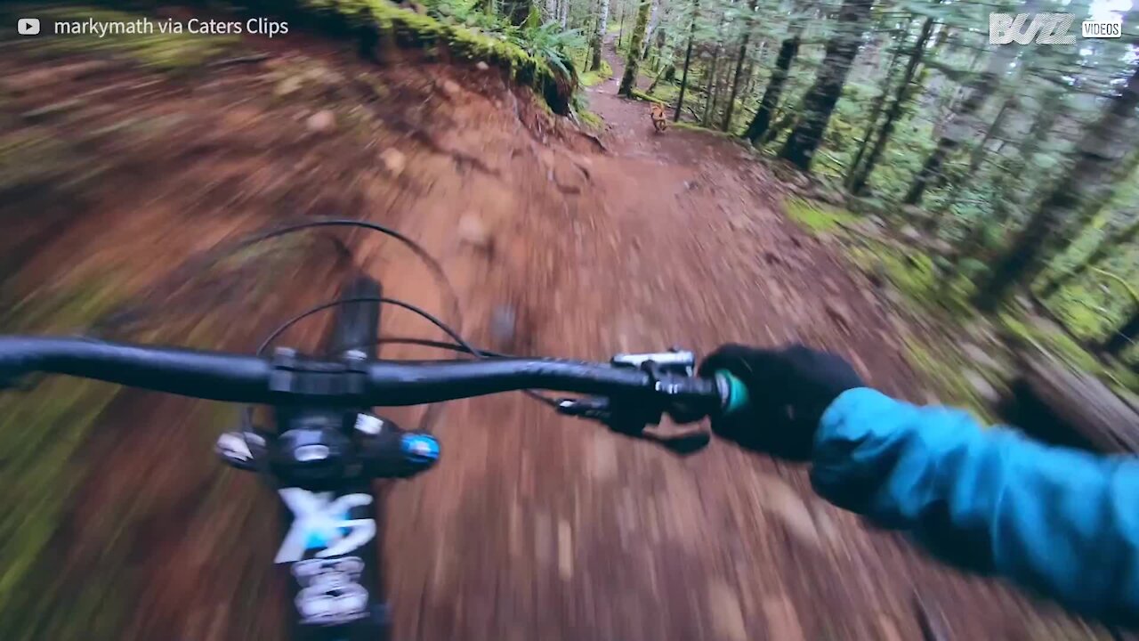 Ciclista não consegue acompanhar cão em descida alucinante!