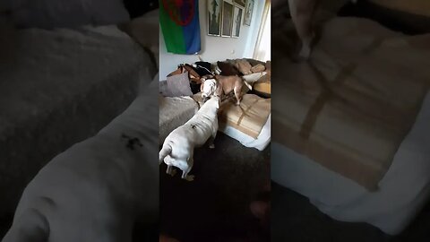 Famke wah wah sound effect