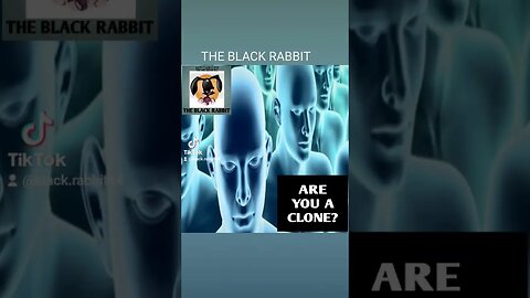 BLACK PPL: ARE YOU A CLONE?